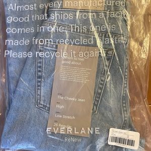 BNWT Everlane Cheeky Jean